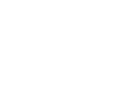 Customer support icon representing local customer support.